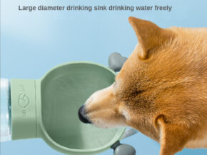 Unveiling the Dog Travel 2-in-1 Water Bottle and Food Dispenser.