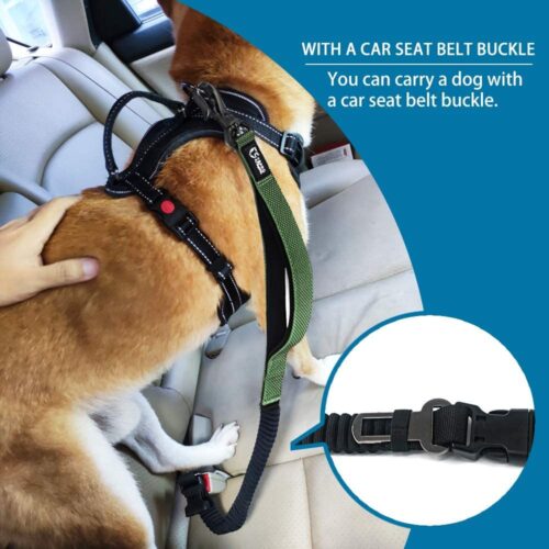 Explosion-proof Traction Rope, Running, Walking Dog, Butler Car, Dog Chain